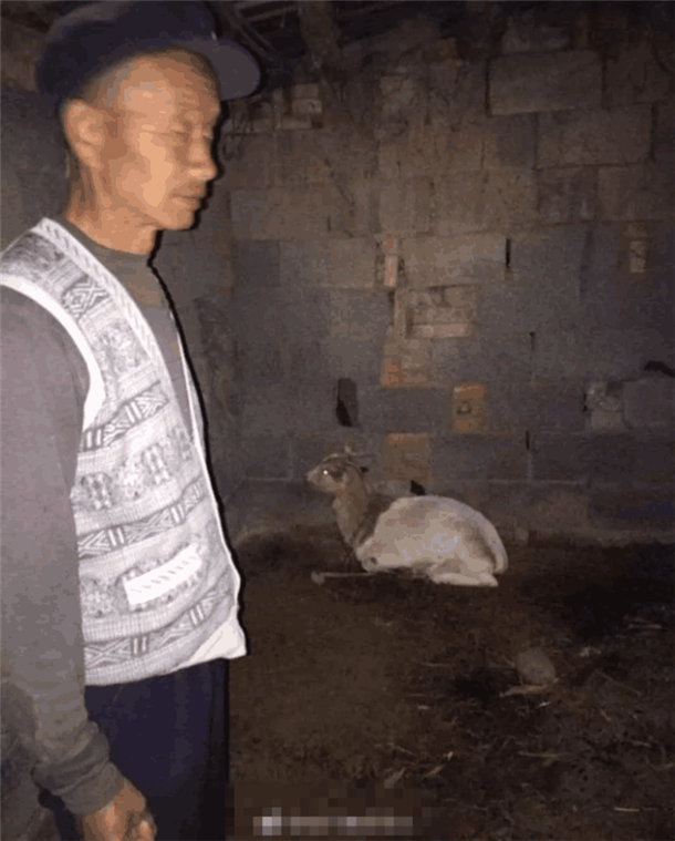 1511052766156893.png 2F.png