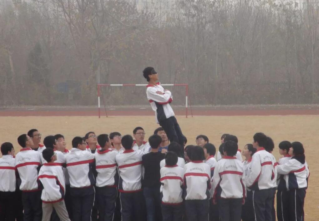 1547289322408672.jpg 2.jpg