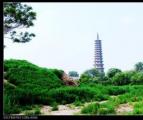 海丰塔景色（zjq_720207）
