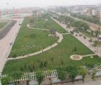 无棣人民广场