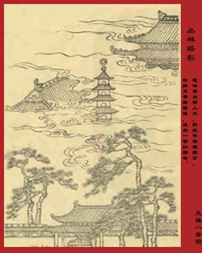 查看更多精彩图片