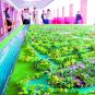 滨州构筑“一核、两翼、多节点”的蓝色经济发展格局