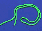 Ӵķ̬ͼƬ
