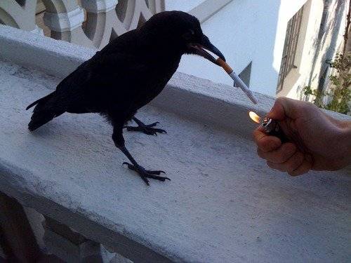 \