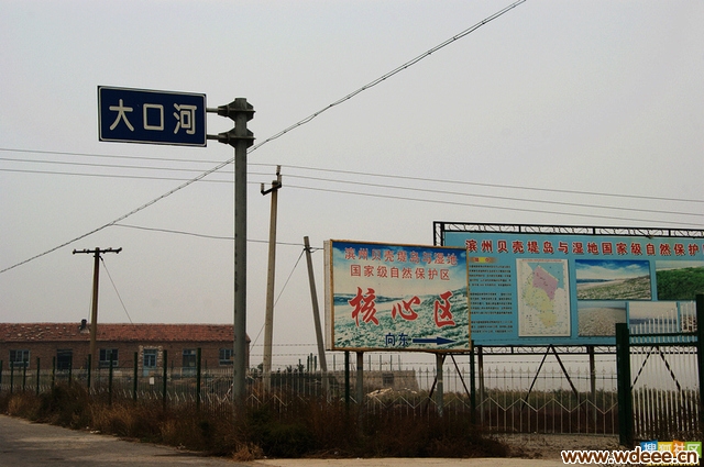馴ںӱ