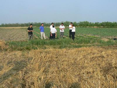 市农机局副局长成跃乐来无棣查看三夏生产