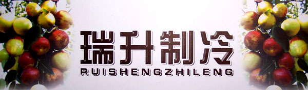 瑞升家电制冷中心