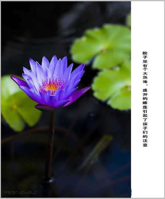 ˼ɣwww.u148.net