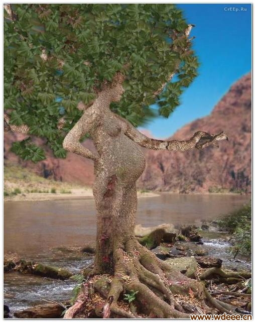 \