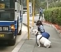 爆笑！猩猩乘公交车给老人让座.