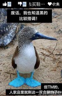 ͼ