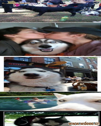 ͼ