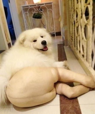 ͼ