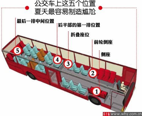 公交五个位置最尴尬 俞霞 制图 公交五个位置最尴尬 俞霞 制图