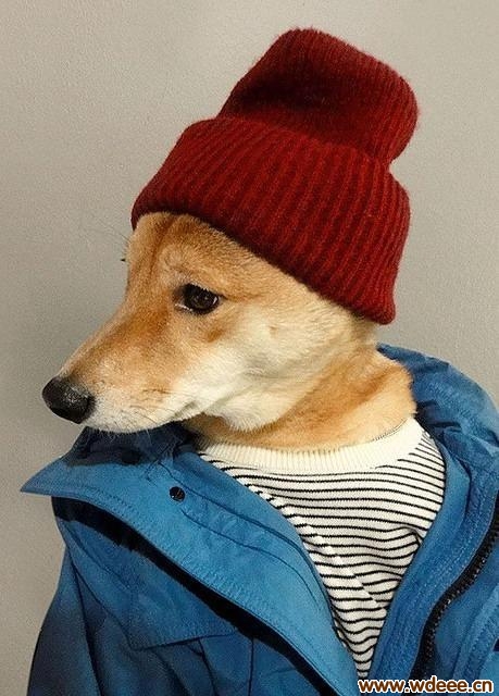 ͼ