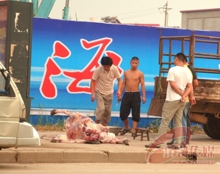 闹市街头惊现现场杀驴 闹市街头惊现现场杀驴