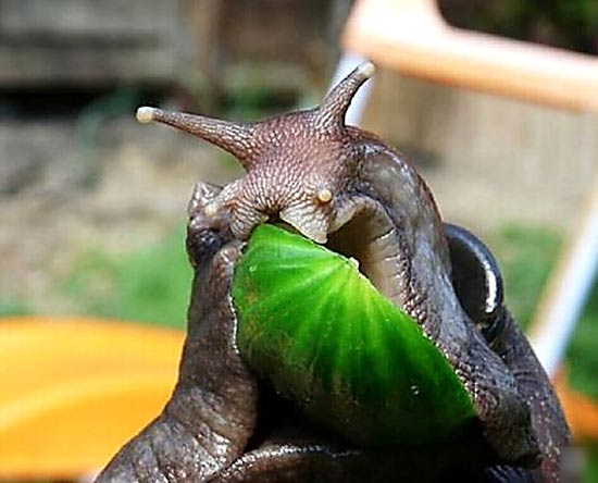 (资料图片)