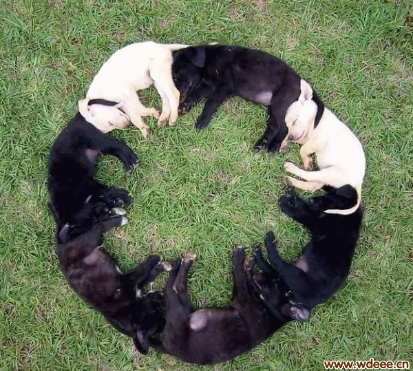 ͼ