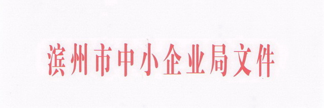 无棣易网项目中小微电子商务综合服务平台获滨州市审批