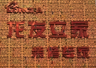 ңװרңҪװޣֻѡ