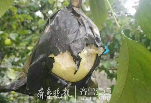 ɽͻ 汻 С